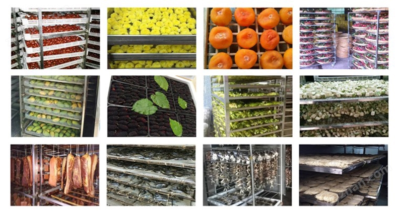 这个项目成功入选全省典型案例!